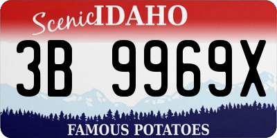 ID license plate 3B9969X