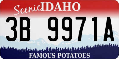 ID license plate 3B9971A