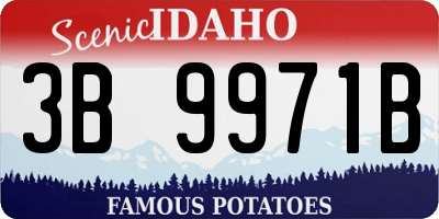 ID license plate 3B9971B