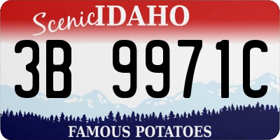 ID license plate 3B9971C