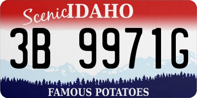 ID license plate 3B9971G