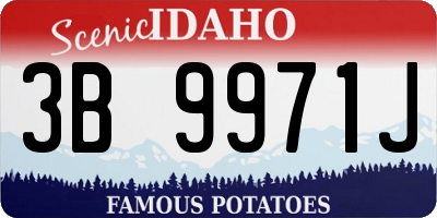 ID license plate 3B9971J