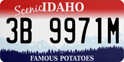 ID license plate 3B9971M