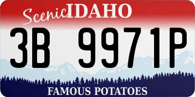 ID license plate 3B9971P