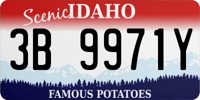 ID license plate 3B9971Y