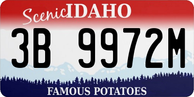 ID license plate 3B9972M
