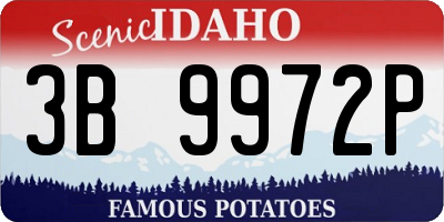 ID license plate 3B9972P