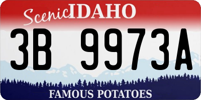 ID license plate 3B9973A