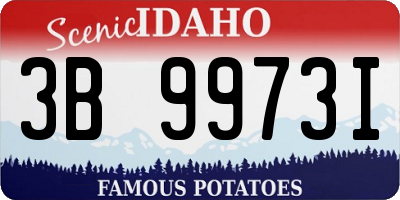 ID license plate 3B9973I