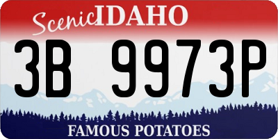 ID license plate 3B9973P
