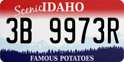ID license plate 3B9973R