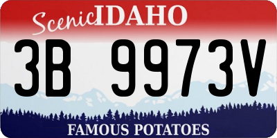 ID license plate 3B9973V