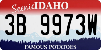 ID license plate 3B9973W