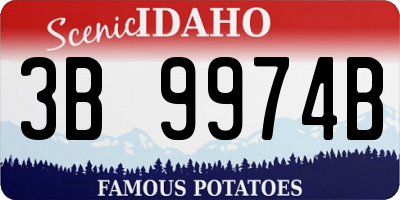 ID license plate 3B9974B