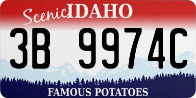 ID license plate 3B9974C