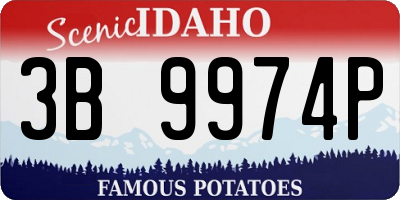 ID license plate 3B9974P