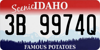 ID license plate 3B9974Q