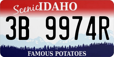 ID license plate 3B9974R