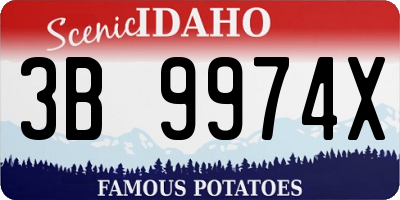ID license plate 3B9974X