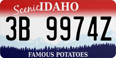 ID license plate 3B9974Z