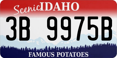 ID license plate 3B9975B