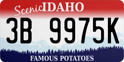 ID license plate 3B9975K