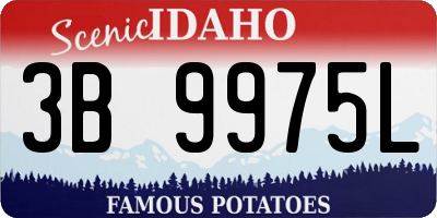 ID license plate 3B9975L
