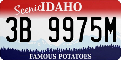 ID license plate 3B9975M
