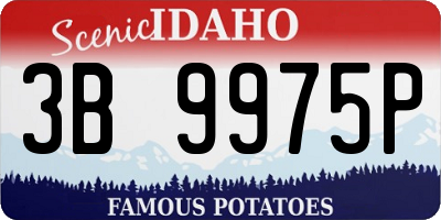 ID license plate 3B9975P