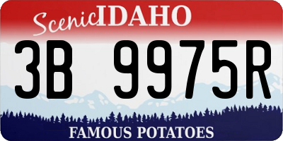 ID license plate 3B9975R