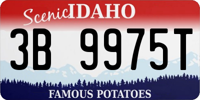 ID license plate 3B9975T