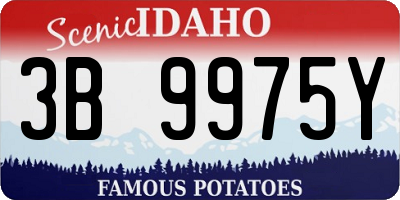 ID license plate 3B9975Y