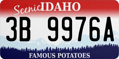 ID license plate 3B9976A