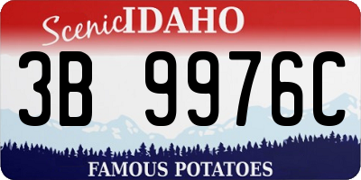 ID license plate 3B9976C