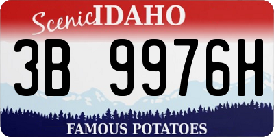 ID license plate 3B9976H
