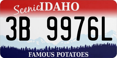 ID license plate 3B9976L