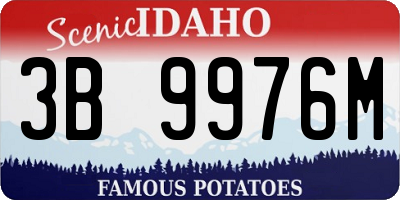ID license plate 3B9976M