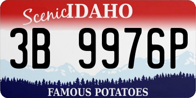 ID license plate 3B9976P