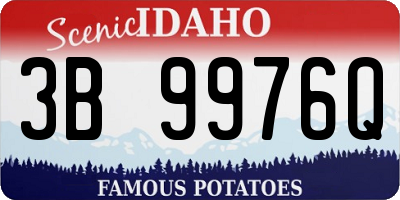 ID license plate 3B9976Q