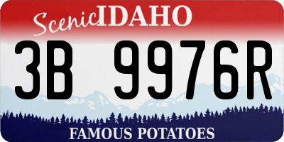 ID license plate 3B9976R