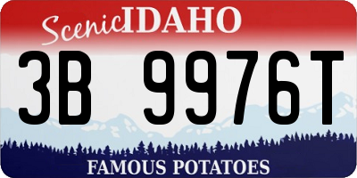ID license plate 3B9976T