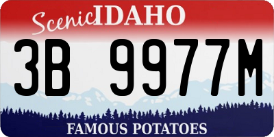 ID license plate 3B9977M