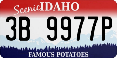 ID license plate 3B9977P