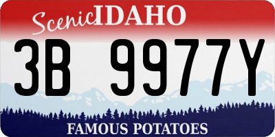 ID license plate 3B9977Y