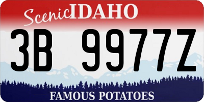 ID license plate 3B9977Z