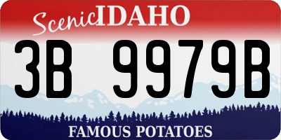 ID license plate 3B9979B