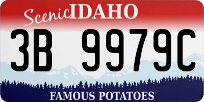 ID license plate 3B9979C