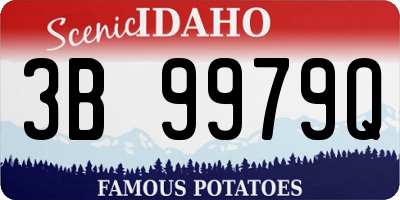 ID license plate 3B9979Q