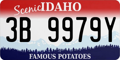 ID license plate 3B9979Y
