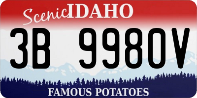 ID license plate 3B9980V